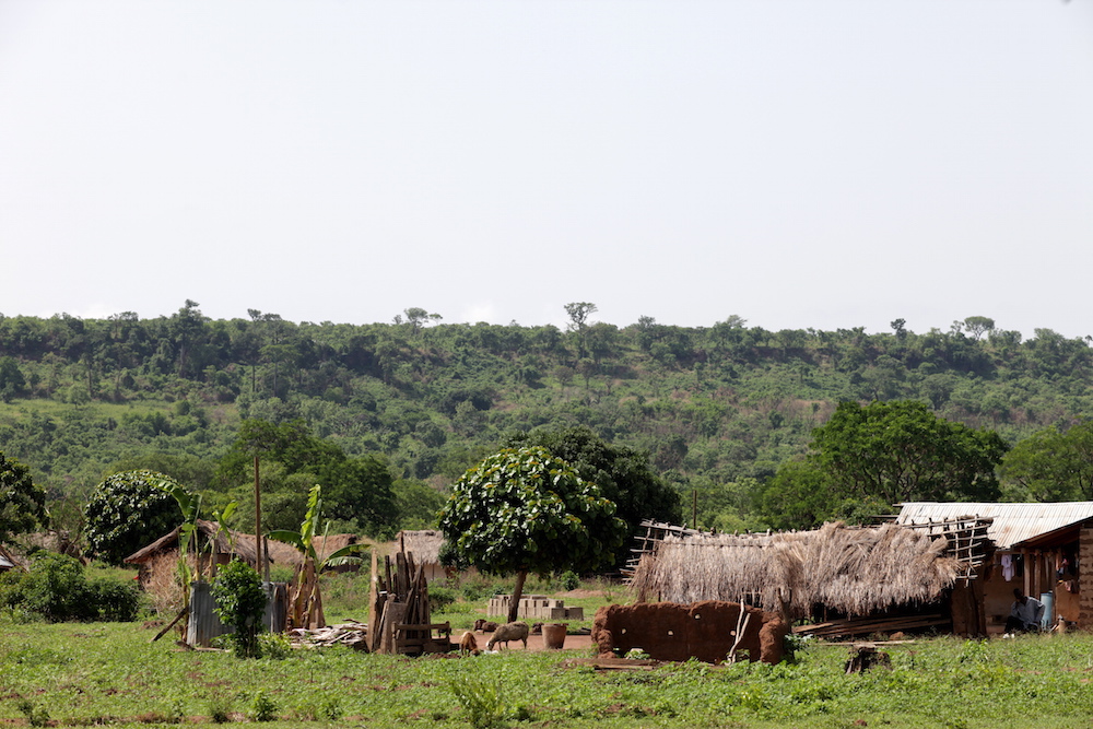 Carpenter area village
